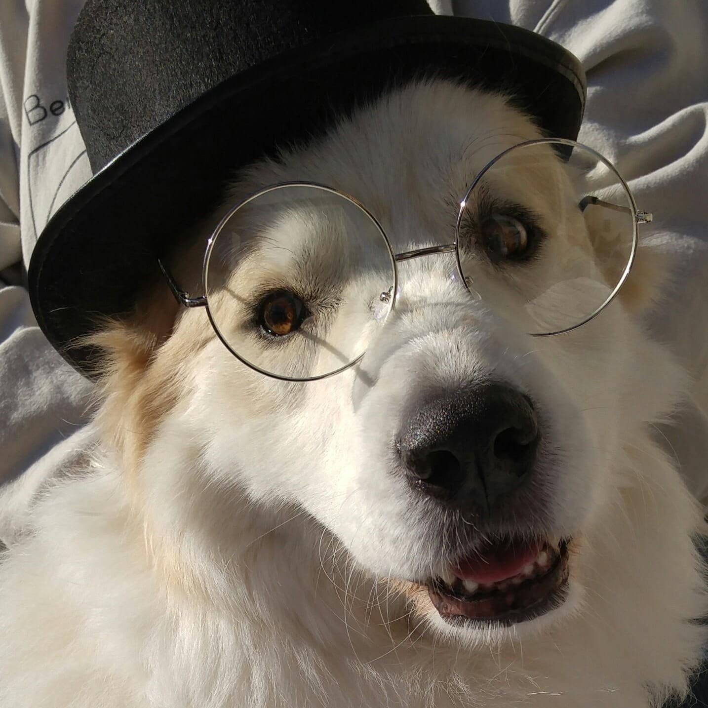 Bentley’s Buddies & Friends Logo